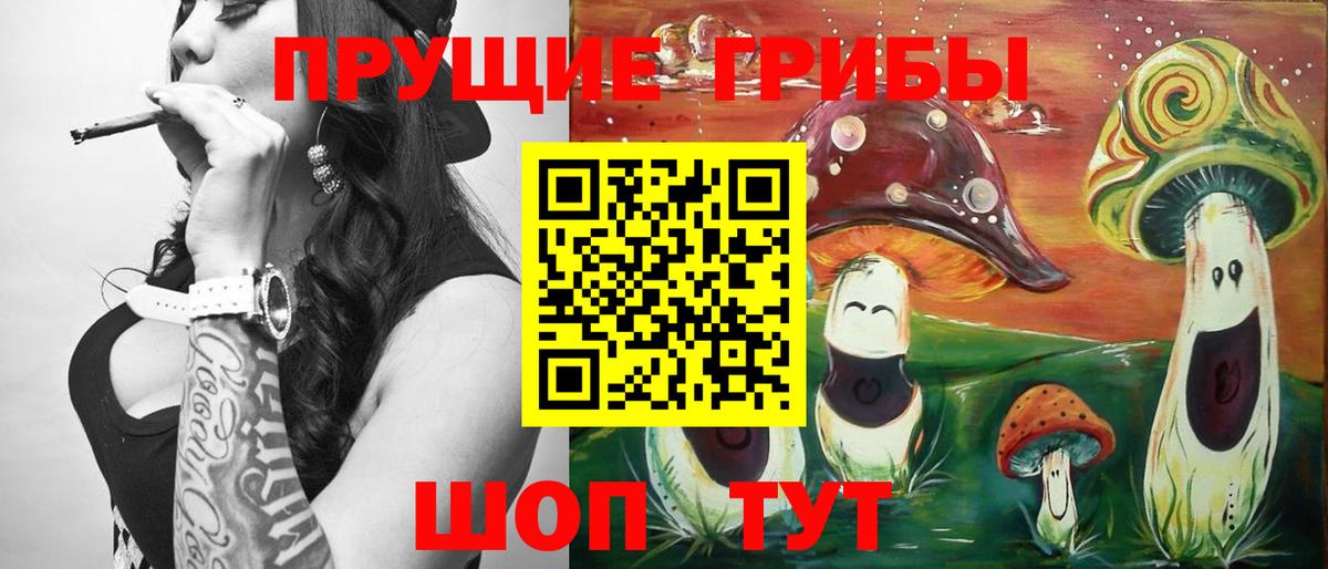 Галлюциногенные грибы Psilocybe Люберцы