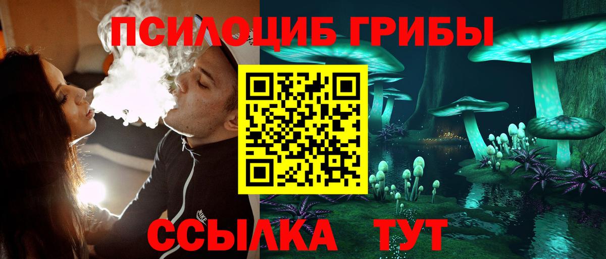 Галлюциногенные грибы прущие грибы  Псилоцибиновые грибы прущие грибы  Люберцы  Вход с VPN 